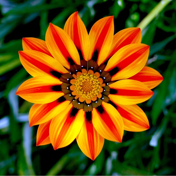 Meet your Posher, @b10nd1e - Picture 1 of 1